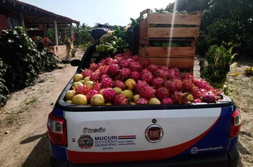  Quase 3 toneladas de alimentos foram recolhidas através do PAA municipal em Mucuri