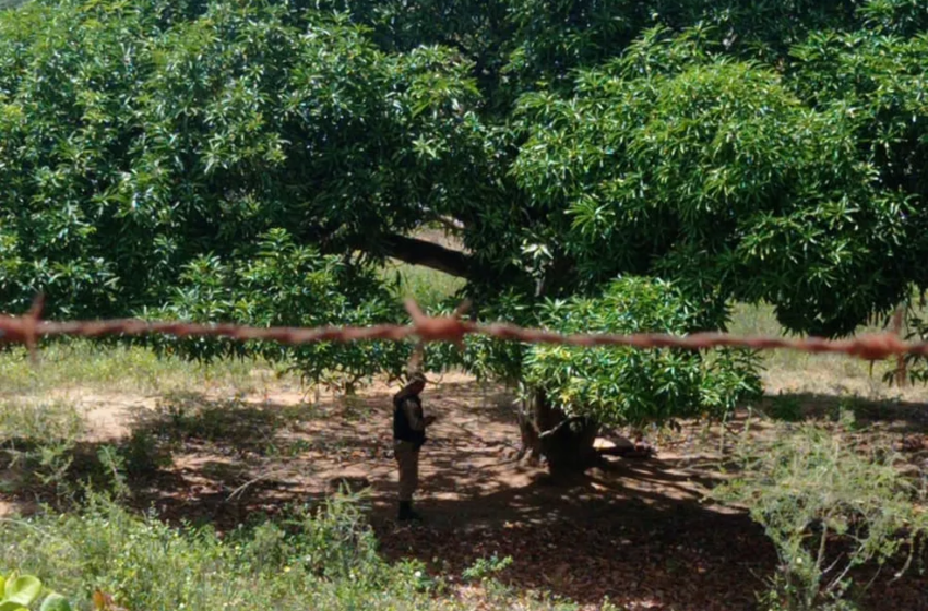  Mulher é encontrada morta e com marcas de violência em Nanuque