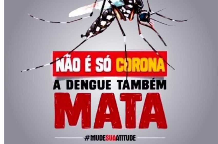  Não é só Corona, a dengue também mata