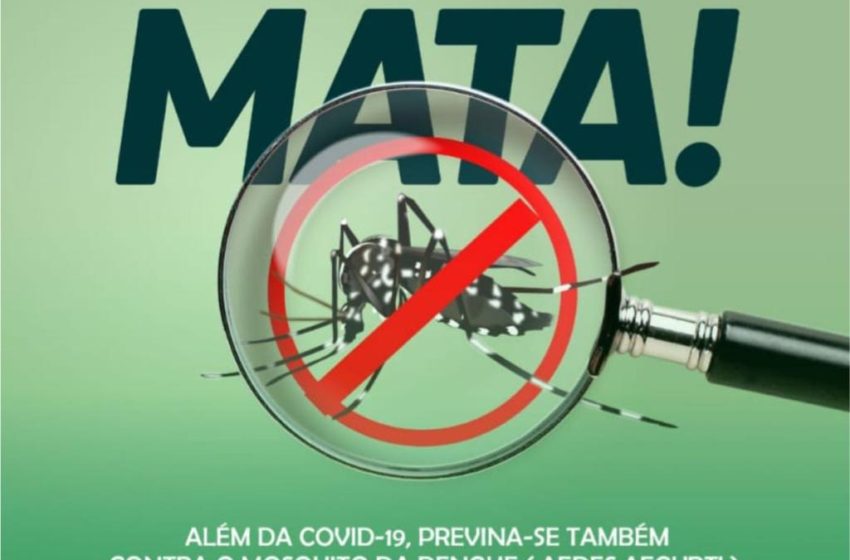  Dengue também mata!